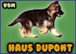 www.Haus-Dupont.com